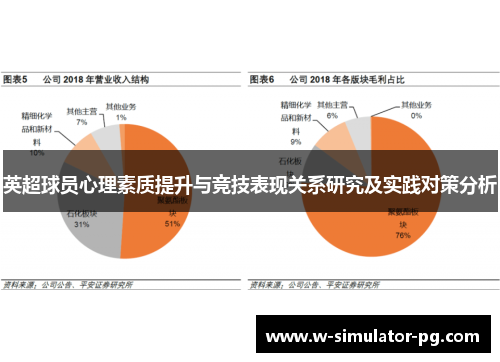英超球员心理素质提升与竞技表现关系研究及实践对策分析 英超球员心理素质提升与竞技表现关系研究及实践对策分析