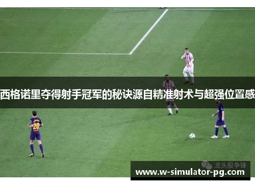 西格诺里夺得射手冠军的秘诀源自精准射术与超强位置感