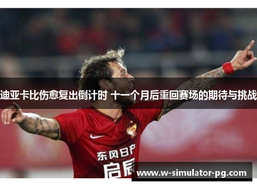 迪亚卡比伤愈复出倒计时 十一个月后重回赛场的期待与挑战