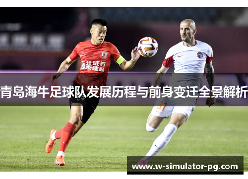 青岛海牛足球队发展历程与前身变迁全景解析