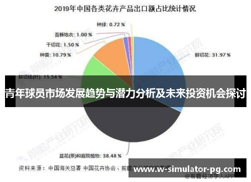 青年球员市场发展趋势与潜力分析及未来投资机会探讨